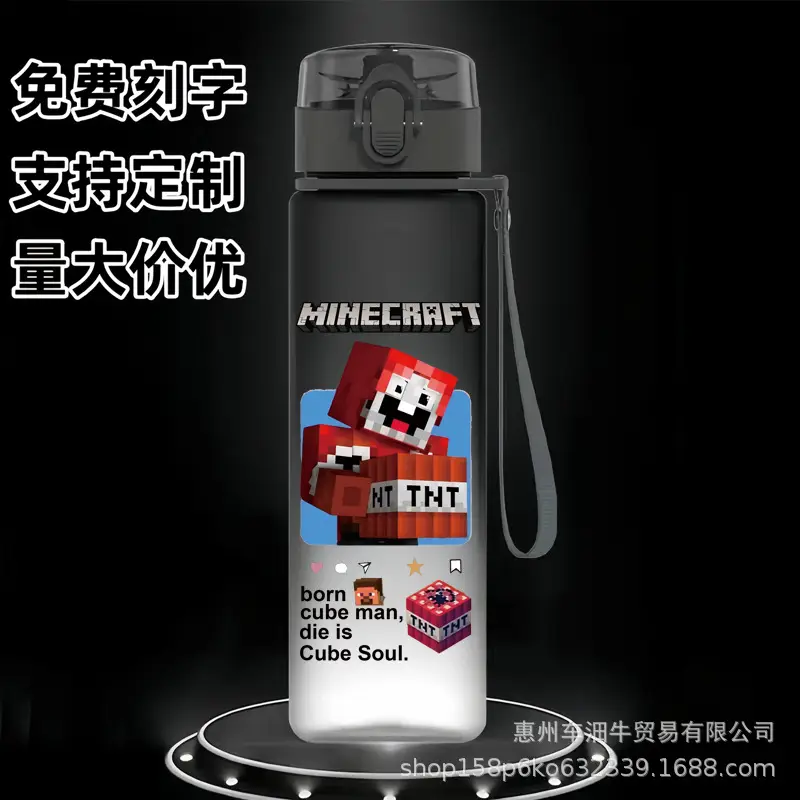 Cross-border new my world animation students children cartoon casual sports water cup plastic frosted cup