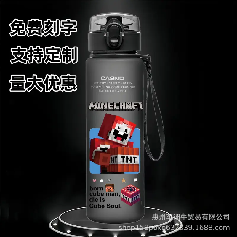 Cross-border new my world animation students children cartoon casual sports water cup plastic frosted cup