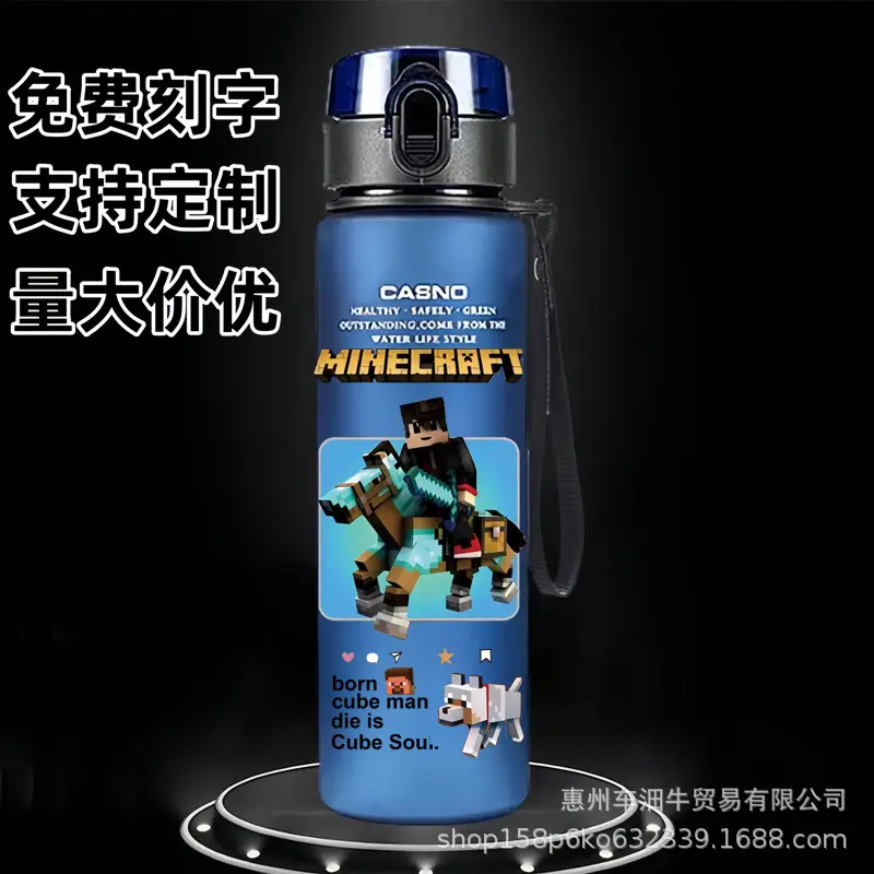 Cross-border new my world animation students children cartoon casual sports water cup plastic frosted cup