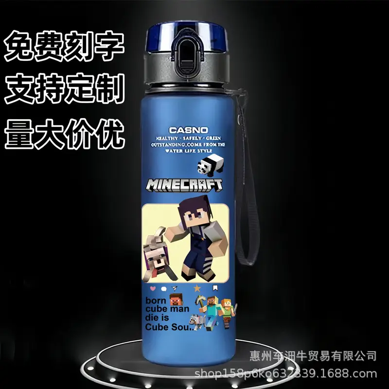 Cross-border new my world animation students children cartoon casual sports water cup plastic frosted cup