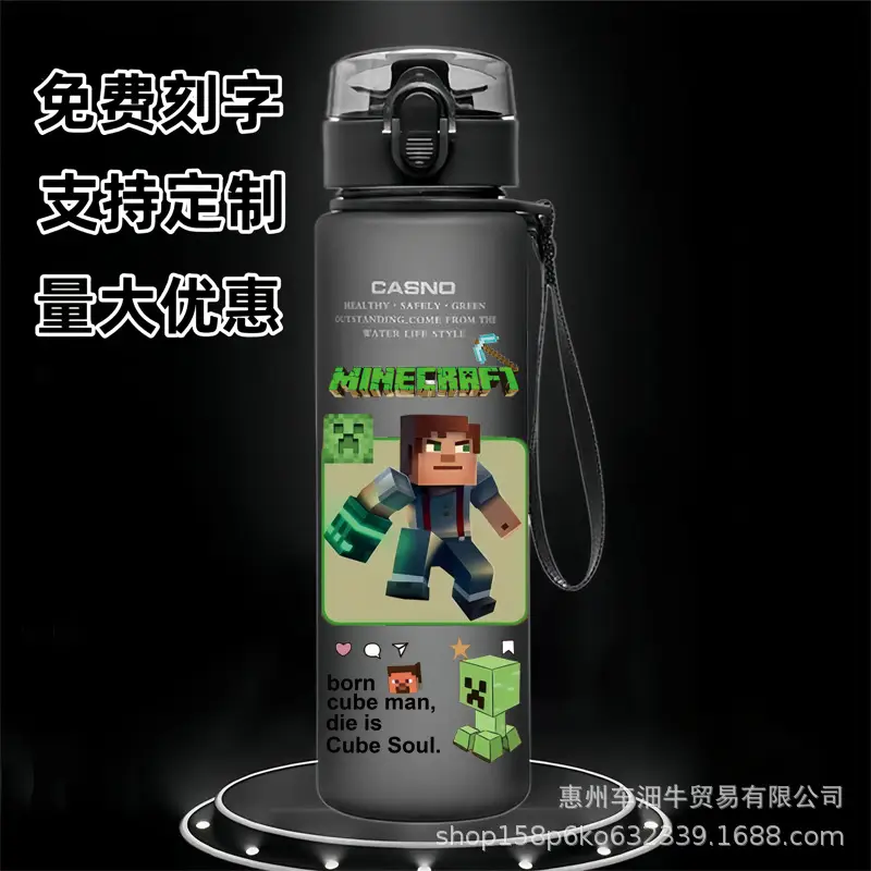 Cross-border new my world animation students children cartoon casual sports water cup plastic frosted cup