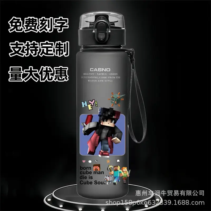 Cross-border new my world animation students children cartoon casual sports water cup plastic frosted cup