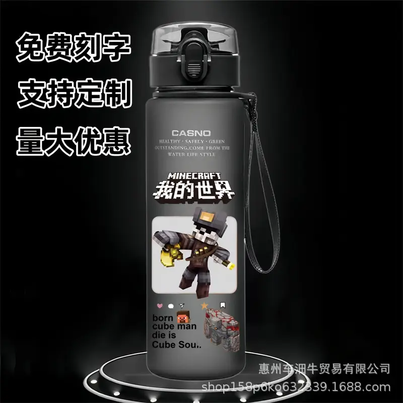 Cross-border new my world animation students children cartoon casual sports water cup plastic frosted cup