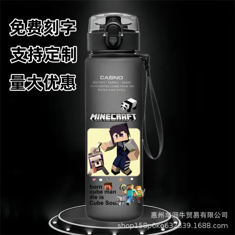 Cross-border new my world animation students children cartoon casual sports water cup plastic frosted cup