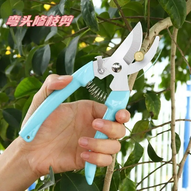 Florist's Special Scissors for Flower Arrangement, Pruning Shears, Gardening Pruning Branches, Flower Branches, Bonsai Flowers, Fruit Picking Artifact