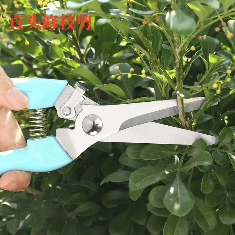 Florist's Special Scissors for Flower Arrangement, Pruning Shears, Gardening Pruning Branches, Flower Branches, Bonsai Flowers, Fruit Picking Artifact