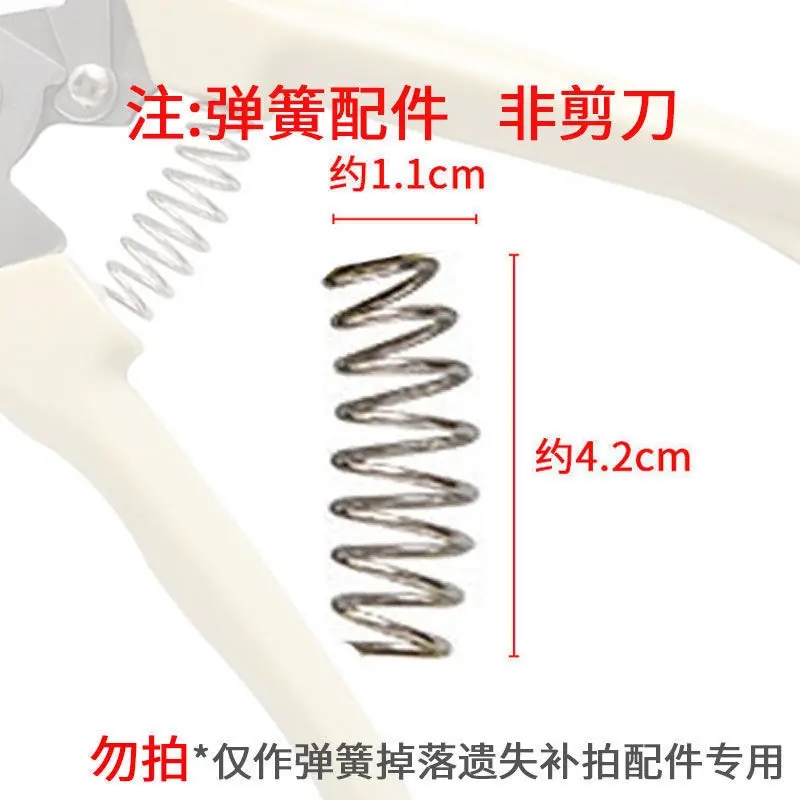 Florist's Special Scissors for Flower Arrangement, Pruning Shears, Gardening Pruning Branches, Flower Branches, Bonsai Flowers, Fruit Picking Artifact