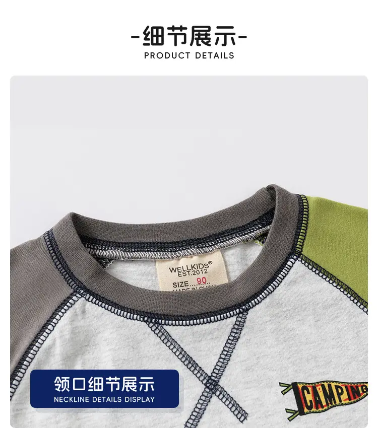 2025 Boys Color-Matching Round Neck T-Shirt with Olive Green Sleeves — feature 12