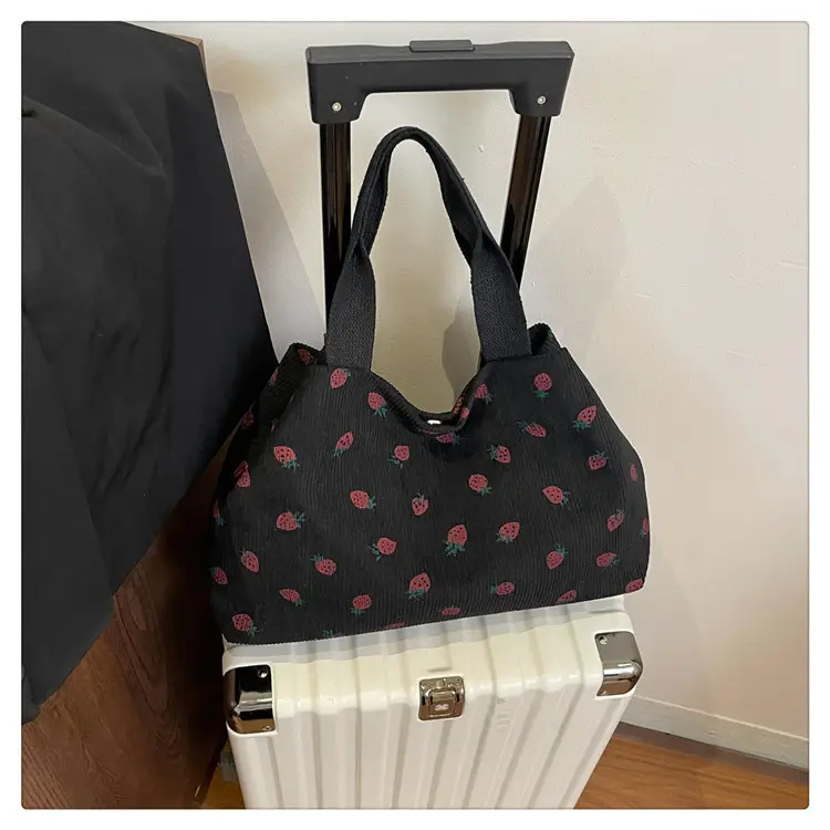 Women's Striped Flannel Tote Bags 2025 Summer — feature 22