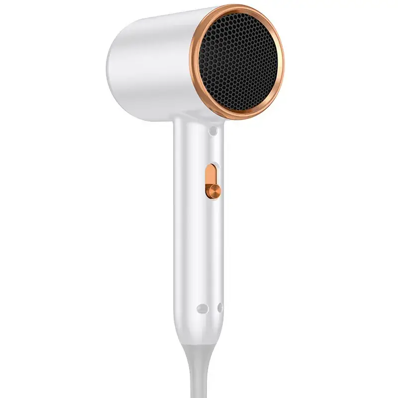 Electric Hair Dryer with Negative Ion Technology
