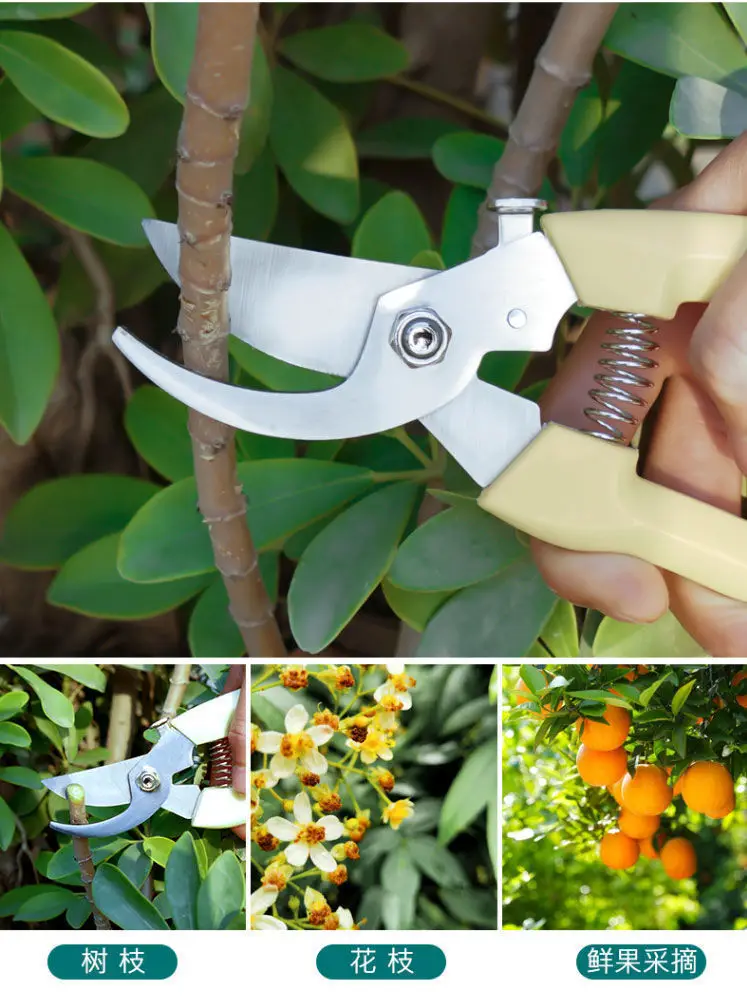 Powerful Stainless Steel Pruning Shears, Multifunctional Gardening Scissors, Orchard Fruit Picking Shears, Garden Branch Shears, Sharp — feature 1