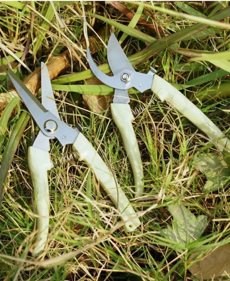 Powerful Stainless Steel Pruning Shears, Multifunctional Gardening Scissors, Orchard Fruit Picking Shears, Garden Branch Shears, Sharp — feature 10