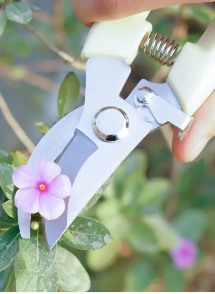 Powerful Stainless Steel Pruning Shears, Multifunctional Gardening Scissors, Orchard Fruit Picking Shears, Garden Branch Shears, Sharp — feature 9