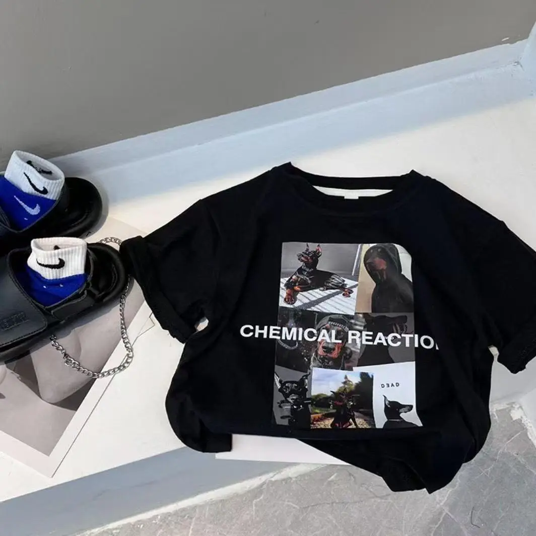 2025 Boys Korean Style Pure Cotton Short Sleeve T-Shirt - Image 3