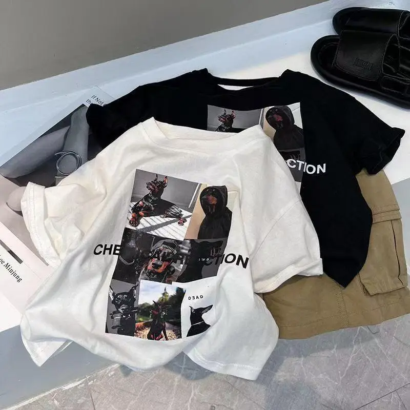 2025 Boys Korean Style Pure Cotton Short Sleeve T-Shirt - Image 5