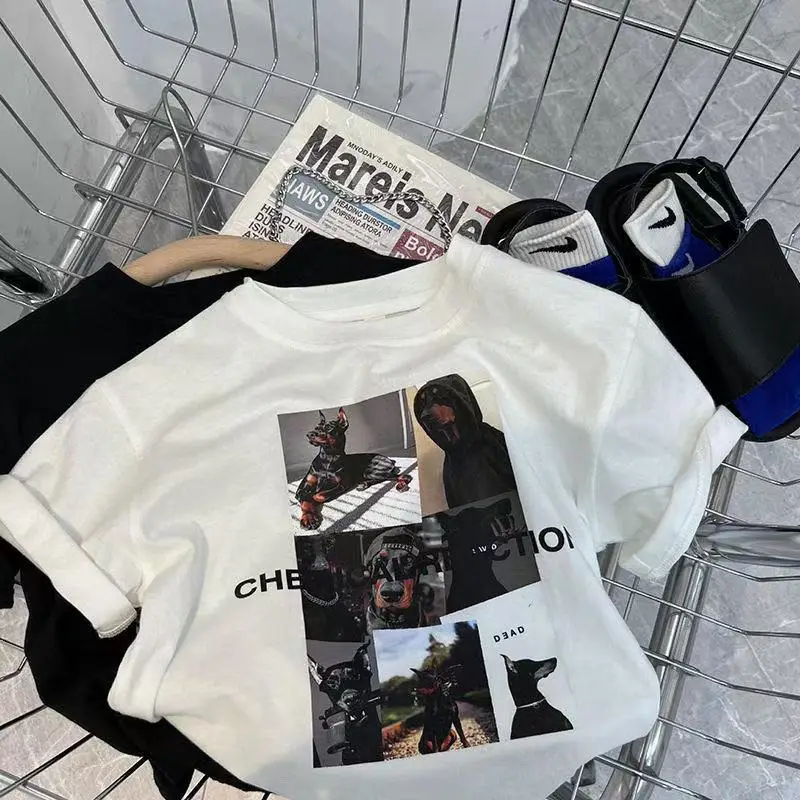 2025 Boys Korean Style Pure Cotton Short Sleeve T-Shirt - Image 2