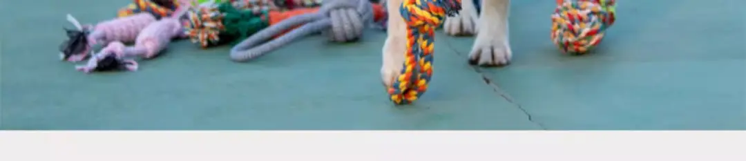 Dog Toy Rope Knot Ball Puppy Chewing Rope Labrador Border Collie Golden Retriever Tug-Of-War Rope Fun Tug-Of-War Rope — feature 12