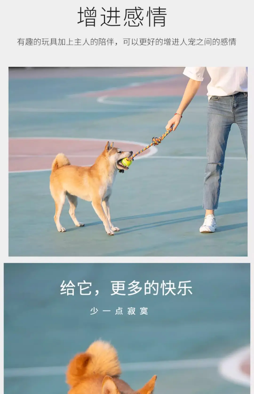 Dog Toy Rope Knot Ball Puppy Chewing Rope Labrador Border Collie Golden Retriever Tug-Of-War Rope Fun Tug-Of-War Rope — feature 6
