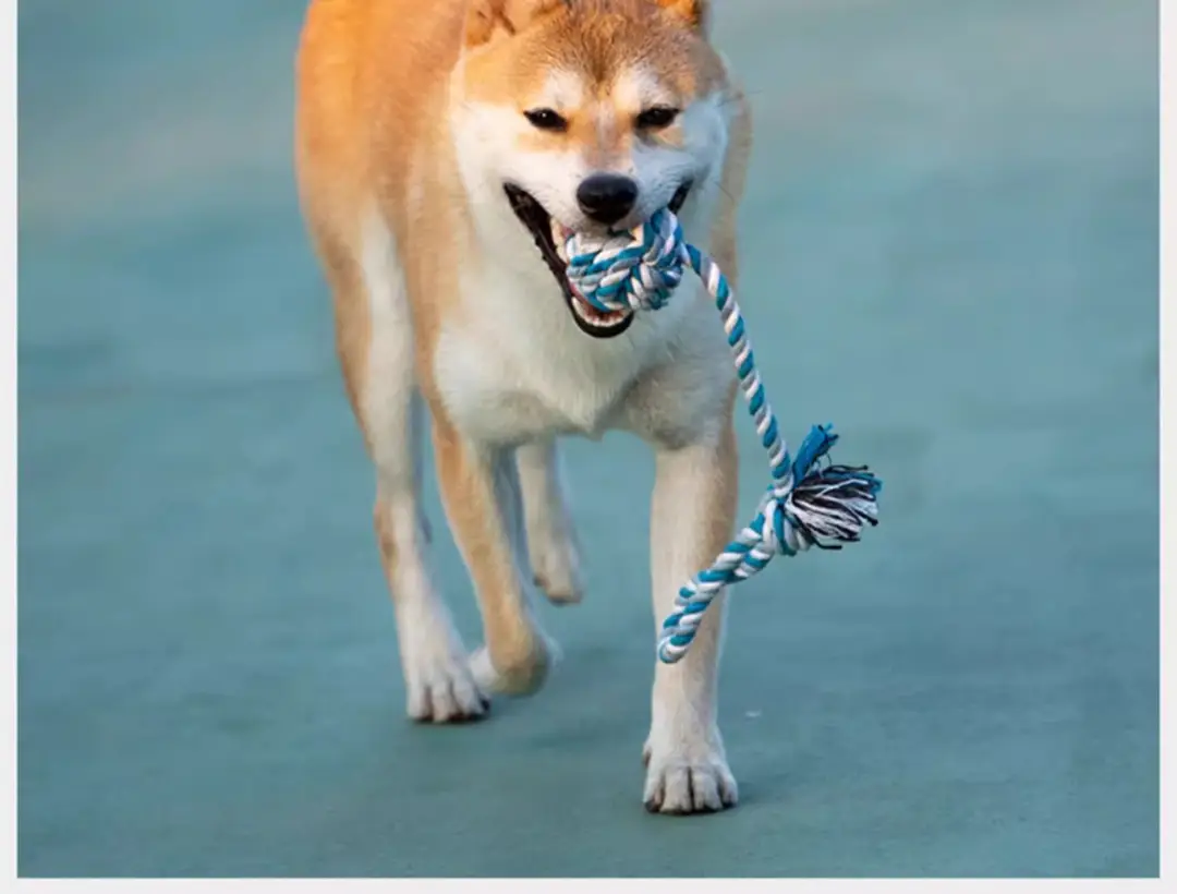 Dog Toy Rope Knot Ball Puppy Chewing Rope Labrador Border Collie Golden Retriever Tug-Of-War Rope Fun Tug-Of-War Rope — feature 7