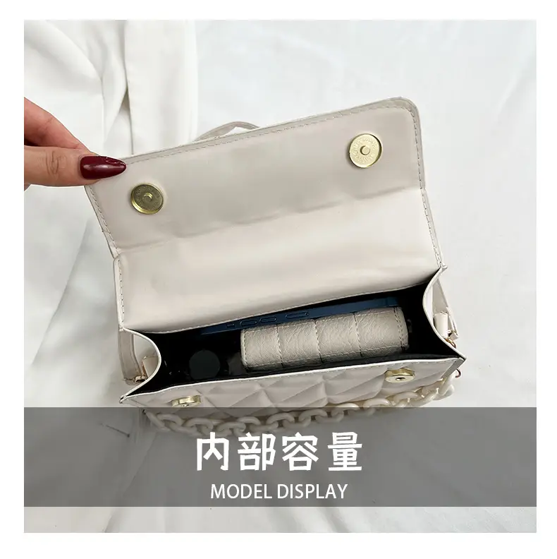 2025 Summer Chain Bag for Women Quilted Crossbody — feature 10