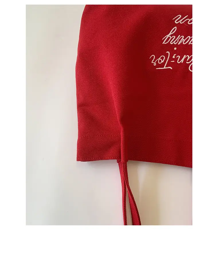 Red Canvas Women's Large Tote Bag 2025 — feature 8