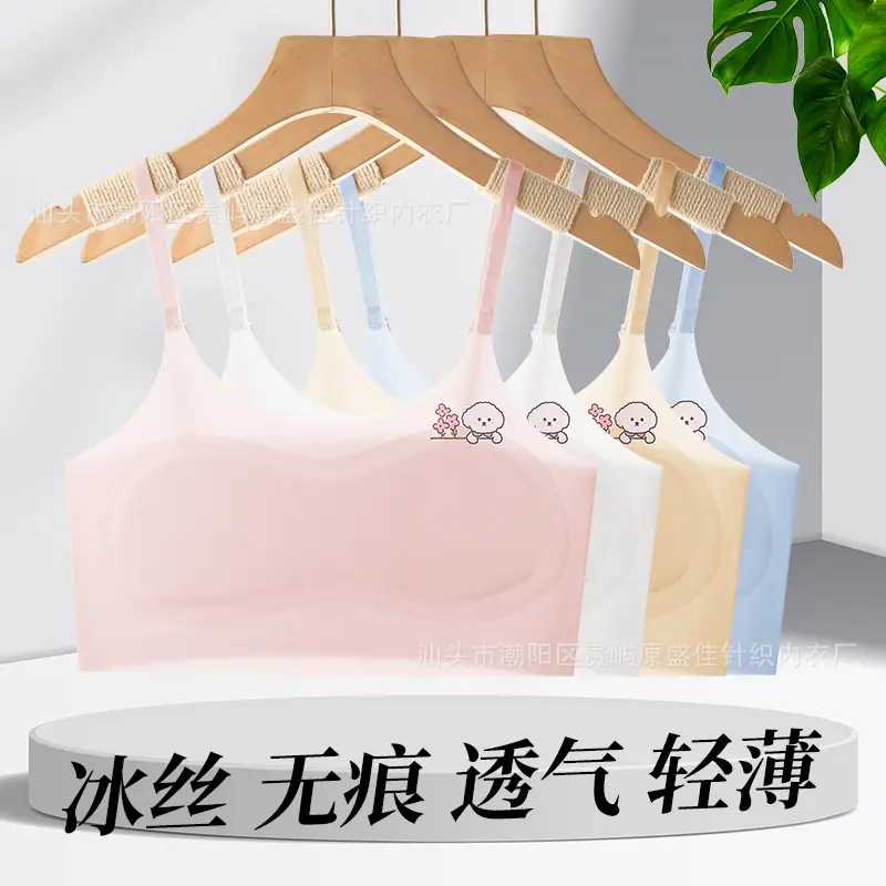 Developmental Girls' Underwear Primary School Junior High School Vest Ice Silk Seamless Underwear Girls Adjustable Shoulder Straps Summer Thin Style