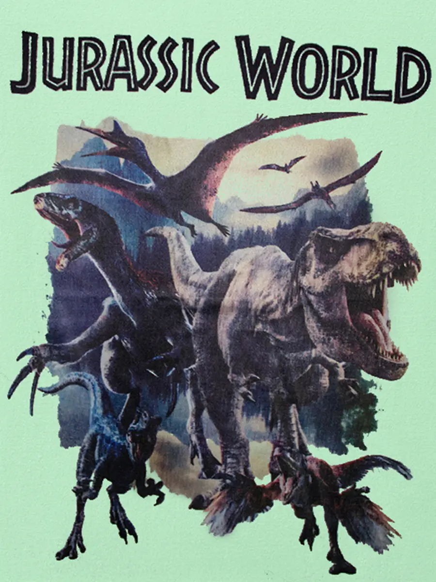 2025 Kids Dinosaur T-Shirt Short Sleeve Mint Green - Image 6