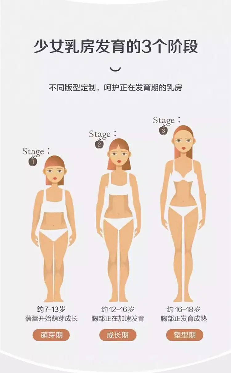 Second Stage of Development, Seamless Girls' Student Vest, Breathable and Skin-Friendly, Summer Girl's Bra — feature 8