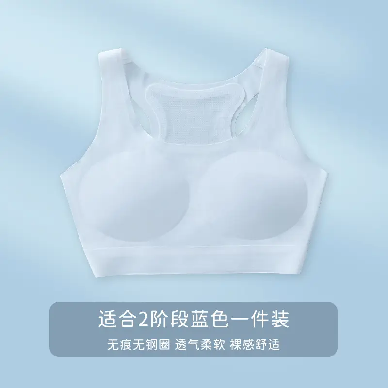 Second Stage of Development, Seamless Girls' Student Vest, Breathable and Skin-Friendly, Summer Girl's Bra