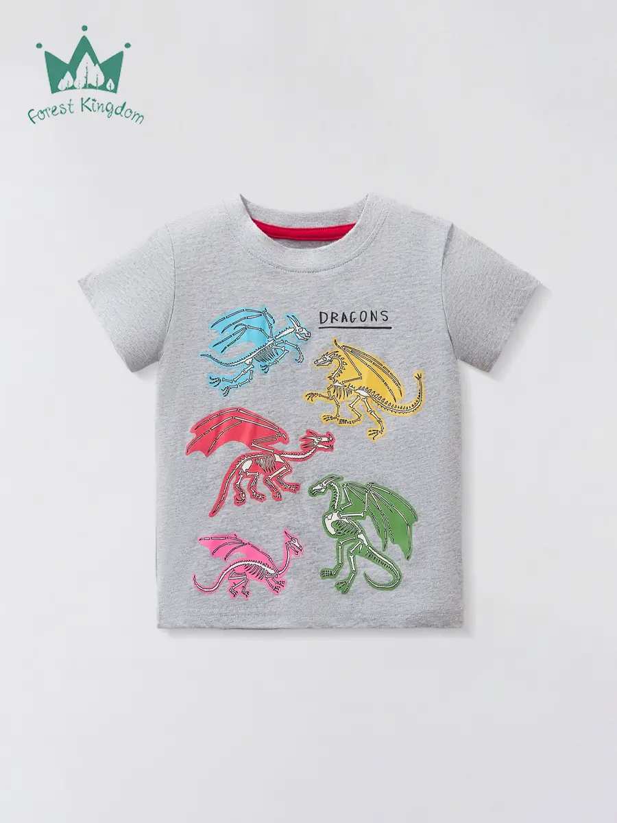 Boys Cartoon Dragon T-Shirt Grey 2025 Summer