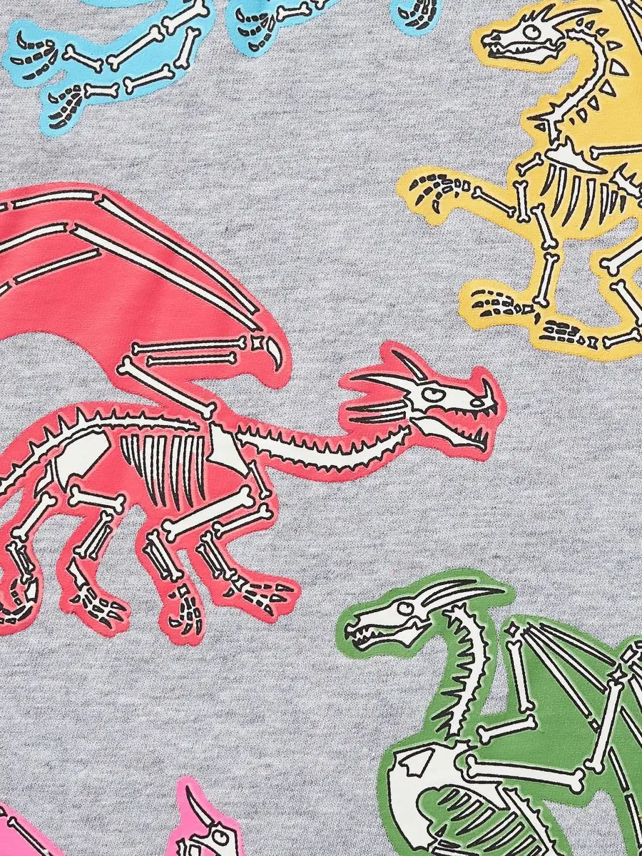 Boys Cartoon Dragon T-Shirt Grey 2025 Summer