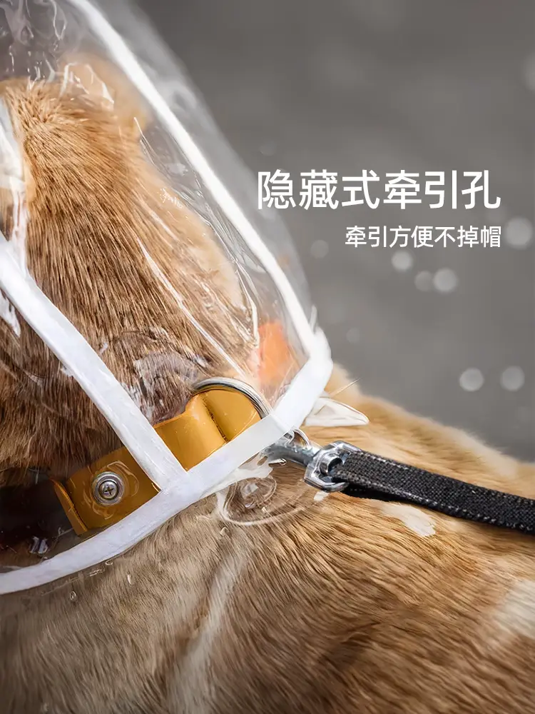 Dog Raincoat Cloak Belly Protection Teddy Special Small and Medium-Sized Dog Shiba Inu Puppy Transparent Poncho Waterproof Pet Clothes — feature 5