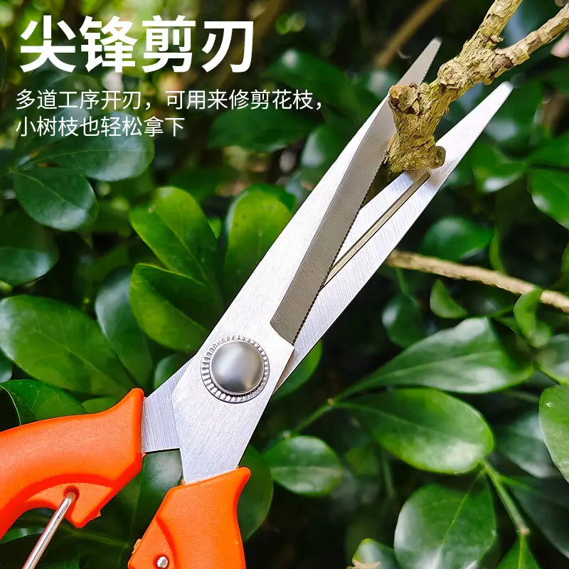 Stainless Steel Branch Pruning Shears, Fruit Picking Shears, Bonsai Vegetable and Fruit Scissors, Garden Tools, Outdoor Fruit Tree Shears - Image 4