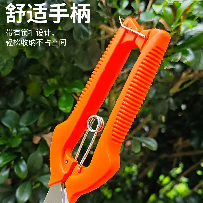 Stainless Steel Branch Pruning Shears, Fruit Picking Shears, Bonsai Vegetable and Fruit Scissors, Garden Tools, Outdoor Fruit Tree Shears - Image 5