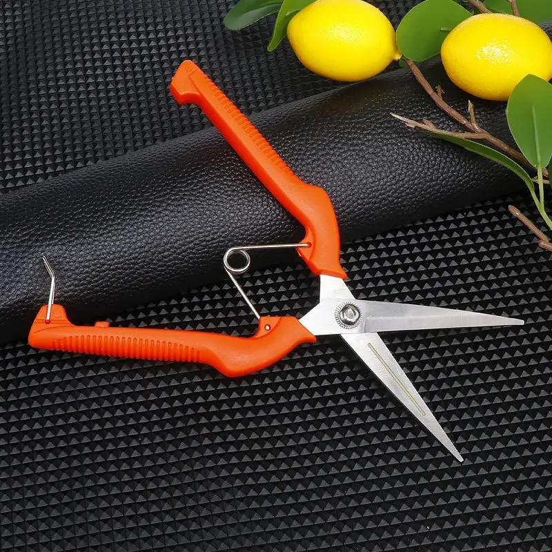 Stainless Steel Branch Pruning Shears, Fruit Picking Shears, Bonsai Vegetable and Fruit Scissors, Garden Tools, Outdoor Fruit Tree Shears - Image 6