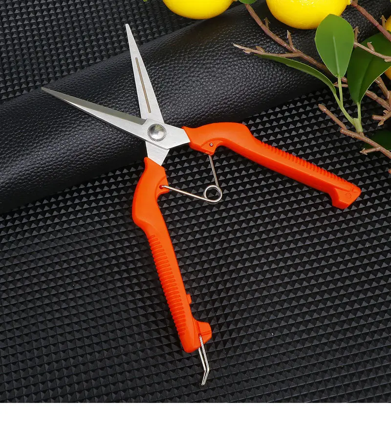 Stainless Steel Branch Pruning Shears, Fruit Picking Shears, Bonsai Vegetable and Fruit Scissors, Garden Tools, Outdoor Fruit Tree Shears — feature 10