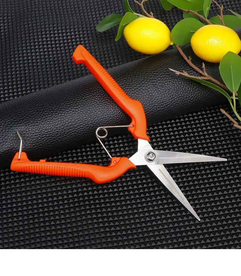 Stainless Steel Branch Pruning Shears, Fruit Picking Shears, Bonsai Vegetable and Fruit Scissors, Garden Tools, Outdoor Fruit Tree Shears — feature 11