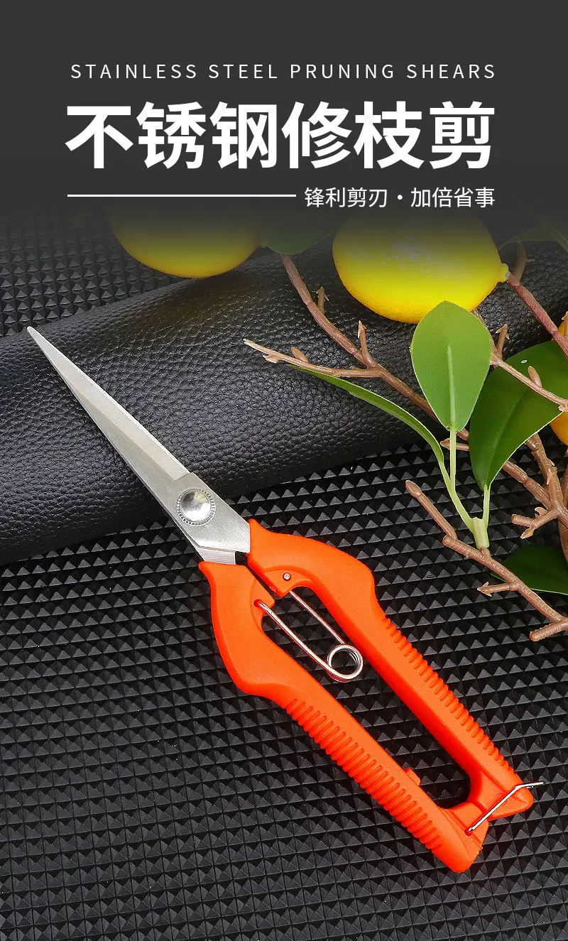 Stainless Steel Branch Pruning Shears, Fruit Picking Shears, Bonsai Vegetable and Fruit Scissors, Garden Tools, Outdoor Fruit Tree Shears — feature 2