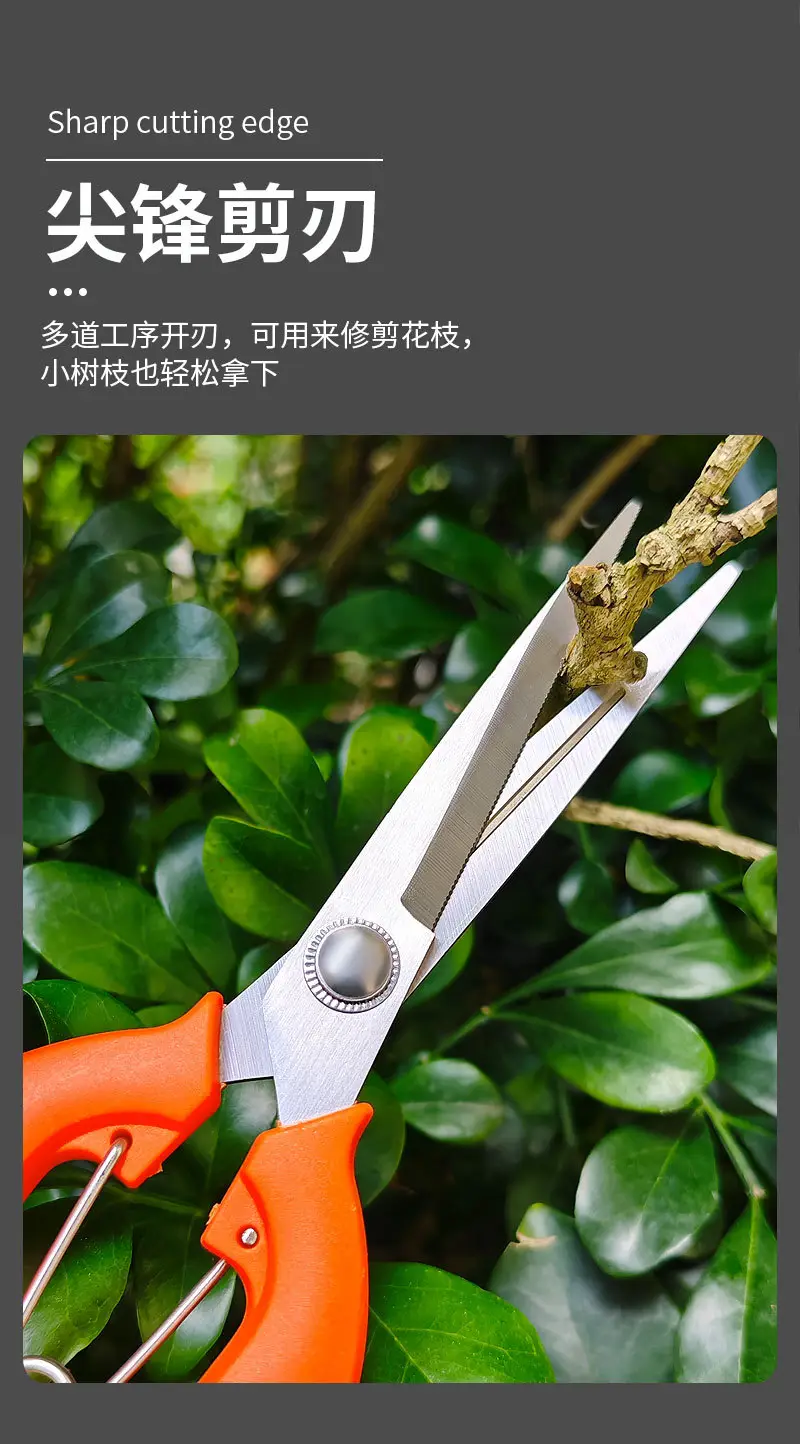 Stainless Steel Branch Pruning Shears, Fruit Picking Shears, Bonsai Vegetable and Fruit Scissors, Garden Tools, Outdoor Fruit Tree Shears — feature 5