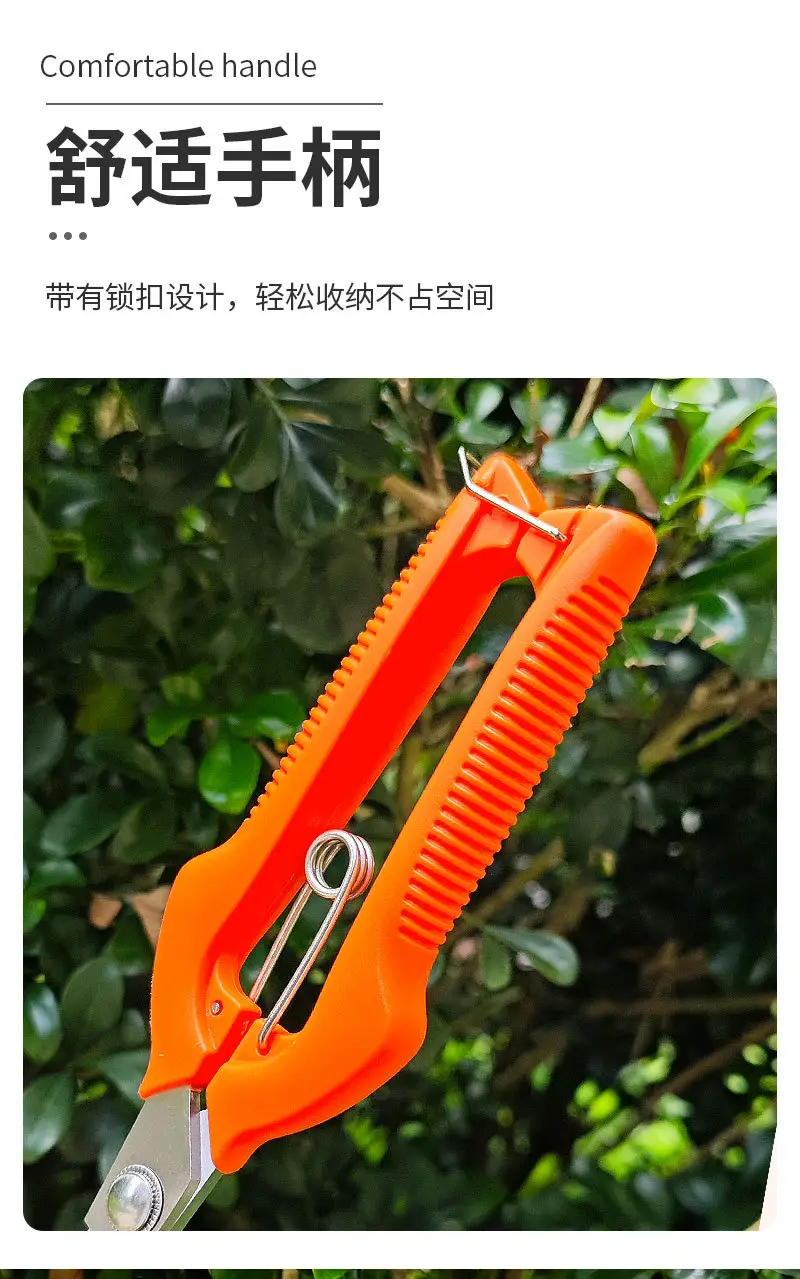 Stainless Steel Branch Pruning Shears, Fruit Picking Shears, Bonsai Vegetable and Fruit Scissors, Garden Tools, Outdoor Fruit Tree Shears — feature 6