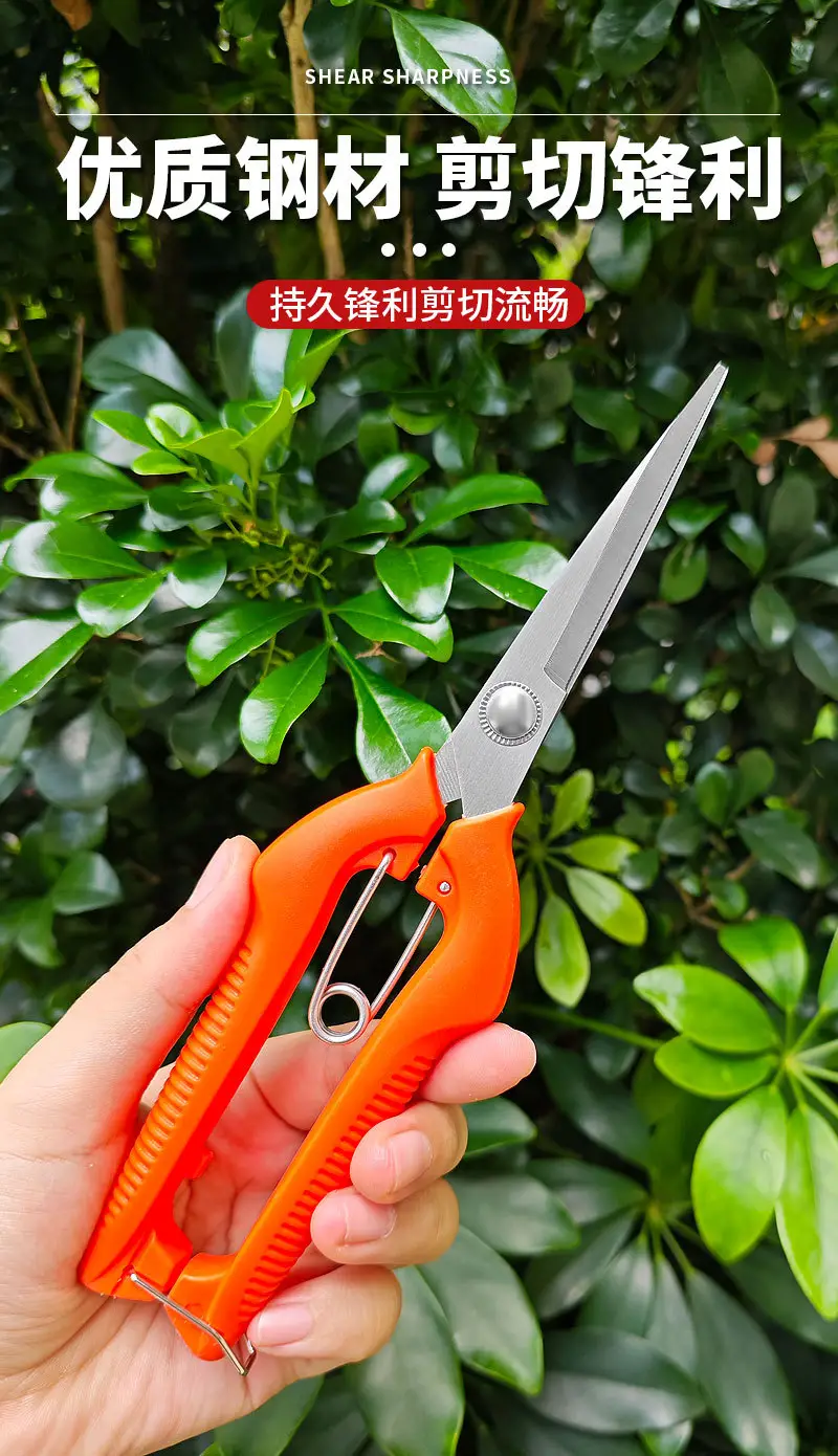 Stainless Steel Branch Pruning Shears, Fruit Picking Shears, Bonsai Vegetable and Fruit Scissors, Garden Tools, Outdoor Fruit Tree Shears — feature 7