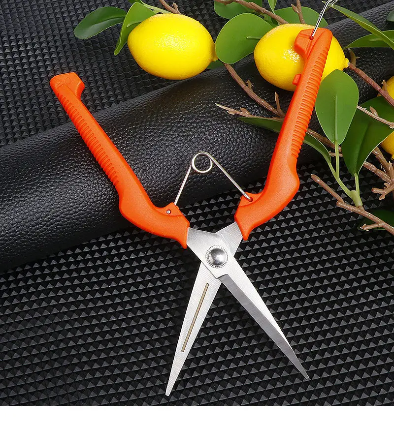 Stainless Steel Branch Pruning Shears, Fruit Picking Shears, Bonsai Vegetable and Fruit Scissors, Garden Tools, Outdoor Fruit Tree Shears — feature 9