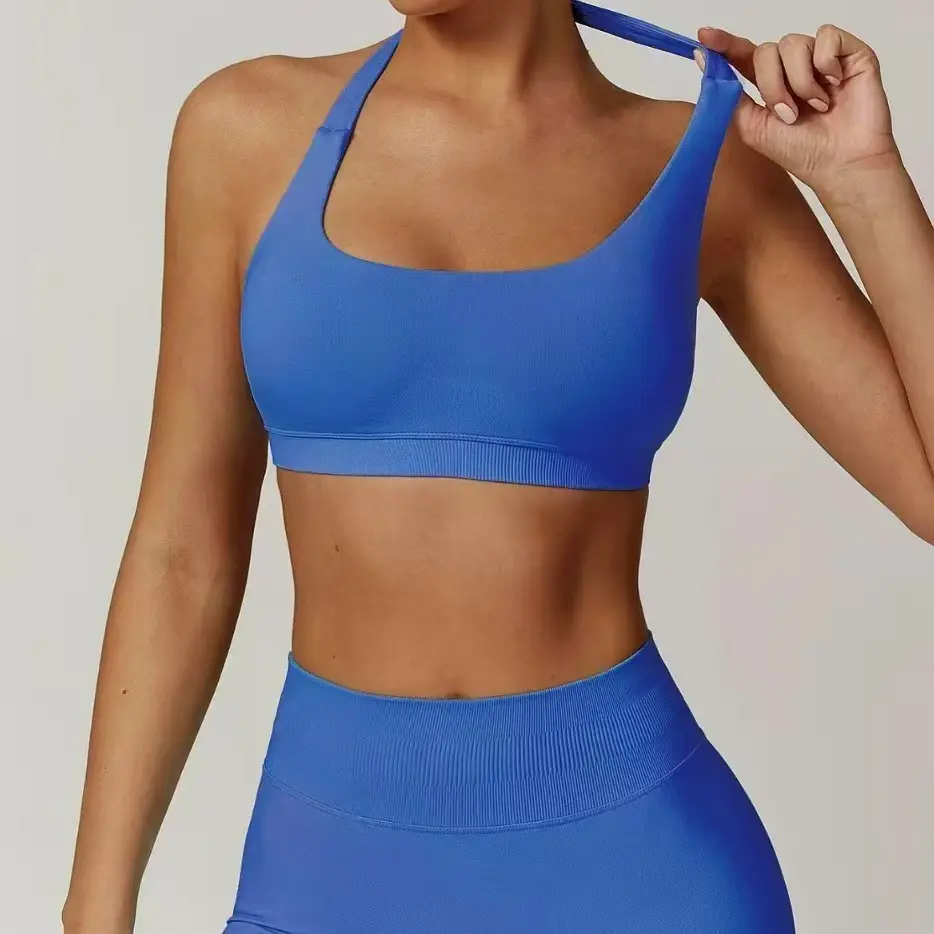 European and American Amazon Sports Halter Bra High-Elastic Sports Bra with Chest Pads Matte Nylon Yoga Fitness Bra