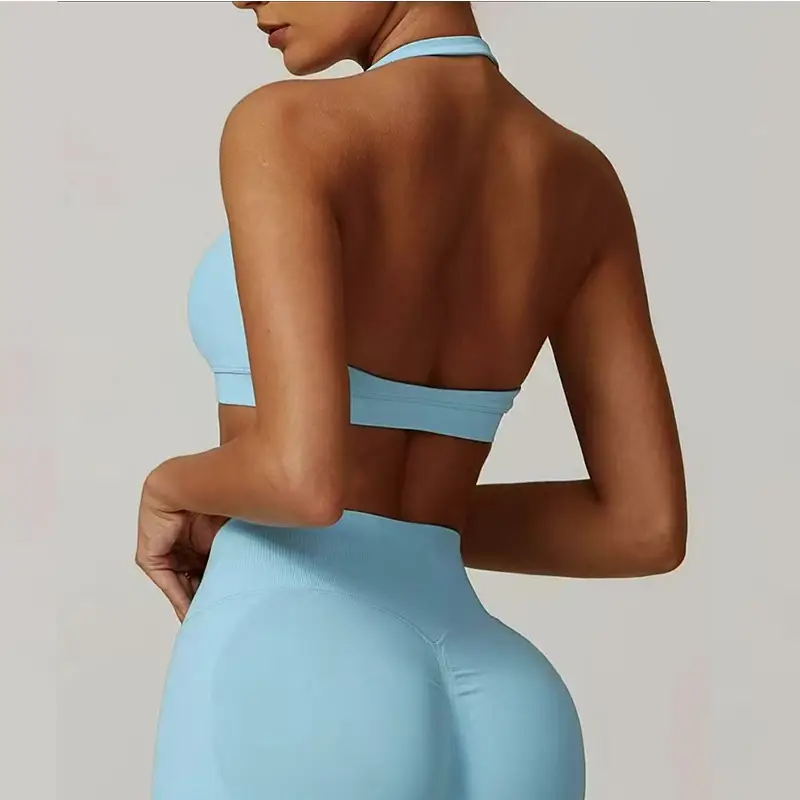 European and American Amazon Sports Halter Bra High-Elastic Sports Bra with Chest Pads Matte Nylon Yoga Fitness Bra — feature 14