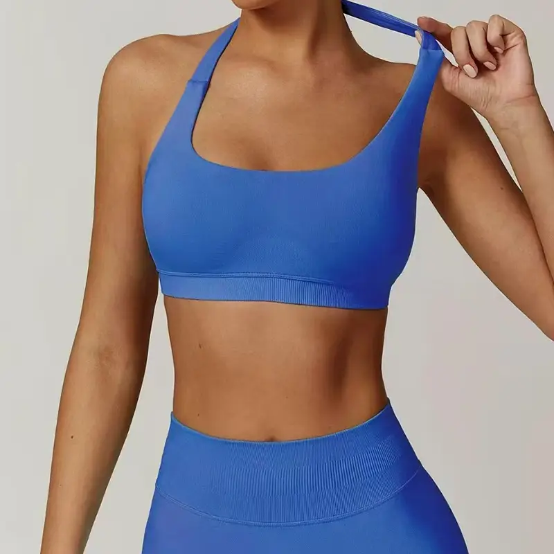 European and American Amazon Sports Halter Bra High-Elastic Sports Bra with Chest Pads Matte Nylon Yoga Fitness Bra — feature 7