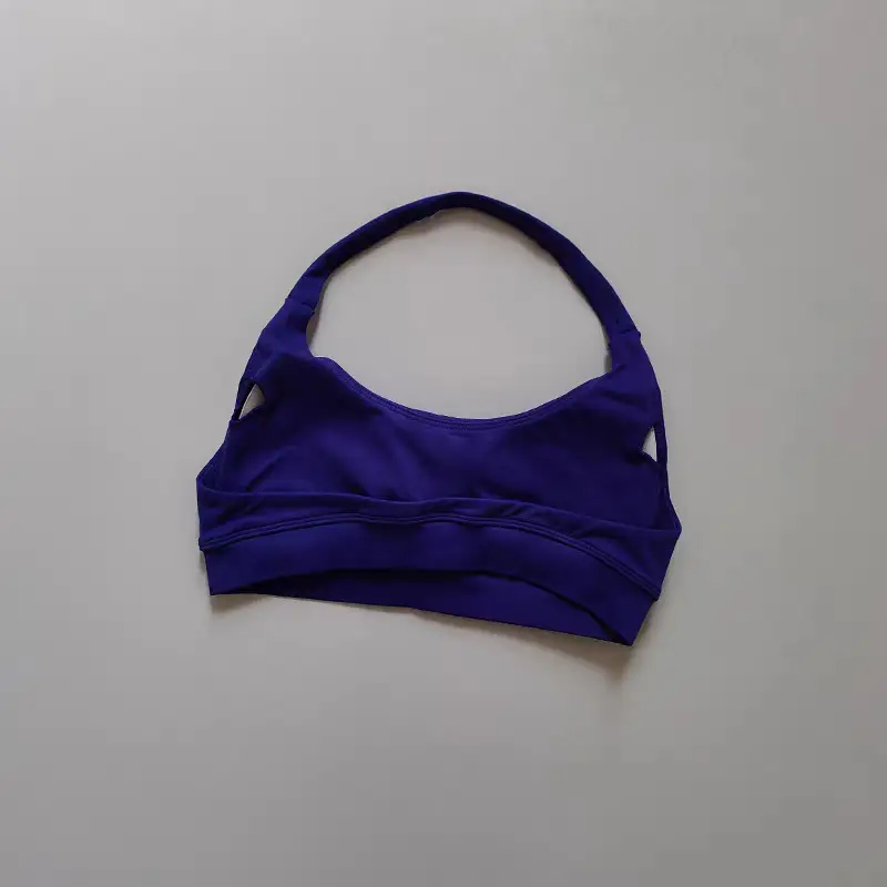 European and American Amazon Sports Halter Bra High-Elastic Sports Bra with Chest Pads Matte Nylon Yoga Fitness Bra