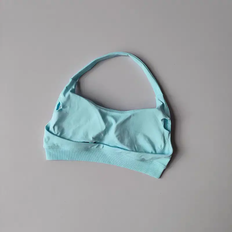 European and American Amazon Sports Halter Bra High-Elastic Sports Bra with Chest Pads Matte Nylon Yoga Fitness Bra