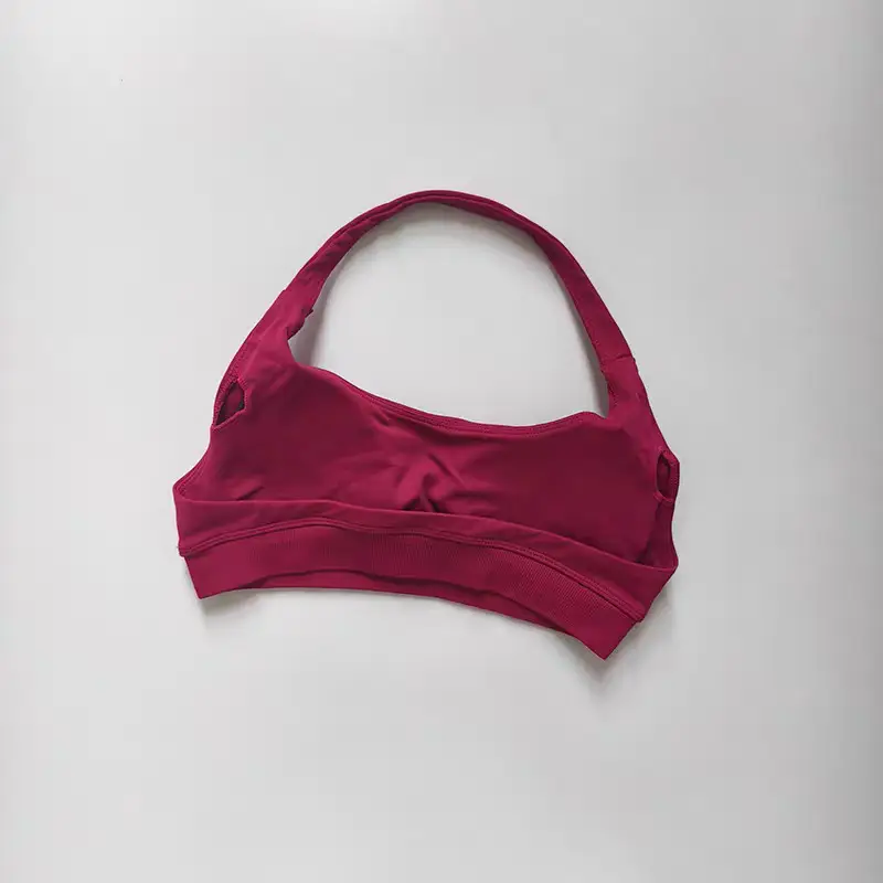 European and American Amazon Sports Halter Bra High-Elastic Sports Bra with Chest Pads Matte Nylon Yoga Fitness Bra