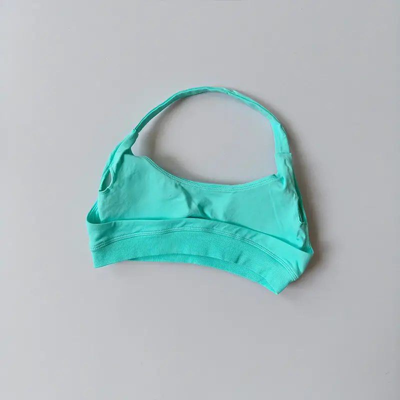 European and American Amazon Sports Halter Bra High-Elastic Sports Bra with Chest Pads Matte Nylon Yoga Fitness Bra