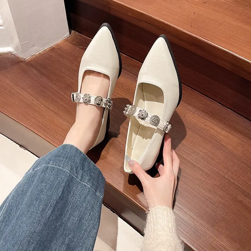 French-Style Pointed Mary Jane Women's Shoes 2025 New Model with Skirt, Shallow Mouth, Single Strap, Metal Buckle, Commuter Elegant Shoes - Image 5